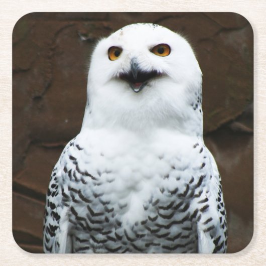 スノーフクロウのコースタクナ スクエアペーパーコースター (正面)