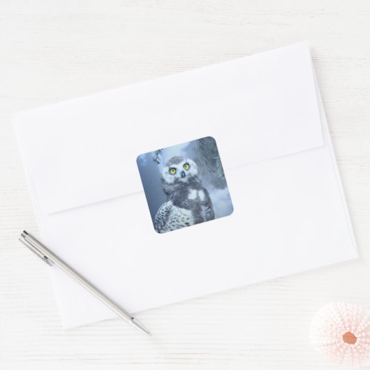 スノーフクロウのシール スクエアシール (封筒)