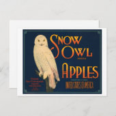 スノーフクロウのブランドリンゴヴィンテージクレートラベル ポストカード (正面/裏面)