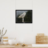 スノーフクロウのポスター ポスター (キッチン)