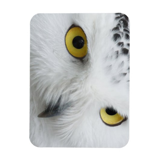 スノーフクロウの目 マグネット (縦)