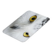 スノーフクロウの目 マグネット (左側)