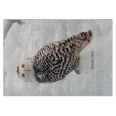 スノーフクロウガラス板 カッティングボード (正面)