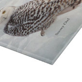 スノーフクロウガラス板 カッティングボード (角)