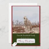 スノーフクロウクリスマスカード シーズンカード (正面/裏面)