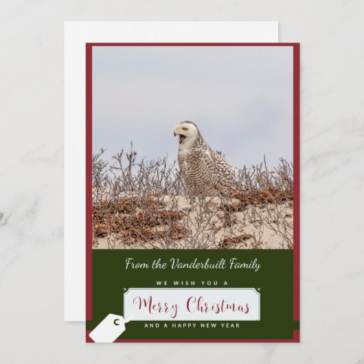 スノーフクロウクリスマスカード シーズンカード (正面/裏面)