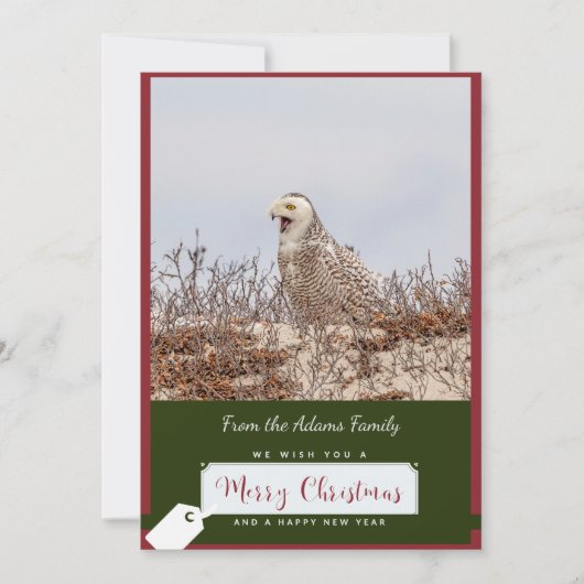 スノーフクロウクリスマスカード シーズンカード (正面)