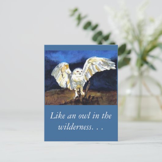 スノーフクロウバイポーラアドウェル ポストカード (スタンド正面)