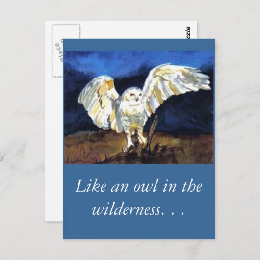 スノーフクロウバイポーラアドウェル ポストカード (正面/裏面)