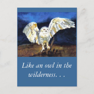 スノーフクロウバイポーラアドウェル ポストカード