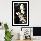 スノーフクロウヴィンテージイラストレーション ポスター (ホームオフィス)