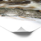 スノーフクロウ写真プリント フォトプリント            (角)