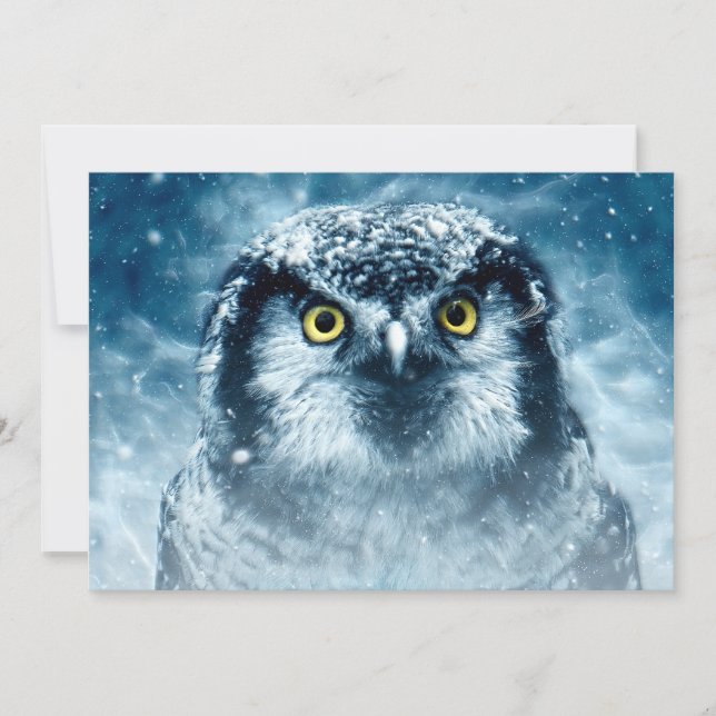 スノーフクロウ大目 (正面)