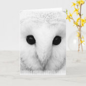 スノーフクロウ挨拶カード カード (黄色い花)