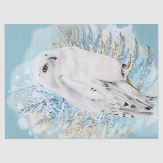 スノーフクロウ水彩画 薄葉紙 (正面)