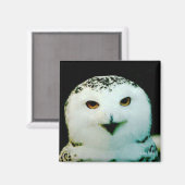スノーフクロウ磁石 マグネット (正面/裏面)