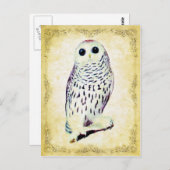 スノーフクロウ葉書 ポストカード (正面/裏面)