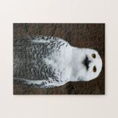 スノーフクロウ11x14 252pc jpcna ジグソーパズル (横)
