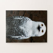 スノーフクロウ11x14 30pc jpcna ジグソーパズル (横)