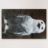 スノーフクロウ20x30 1014pc jpcna ジグソーパズル (横)