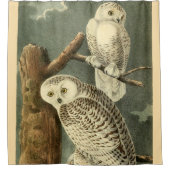 スノーフクロウ・アウドゥボンバードのアートワーク シャワーカーテン (正面)