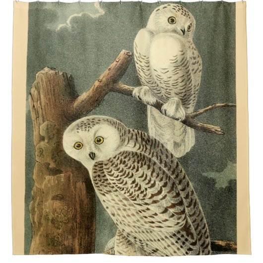 スノーフクロウ・アウドゥボンバードのアートワーク シャワーカーテン (正面)