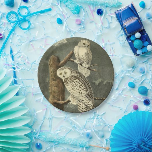 スノーフクロウ・アウドゥボンバードのアートワーク ペーパープレート (パーティー)