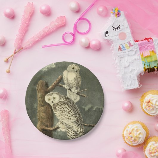 スノーフクロウ・アウドゥボンバードのアートワーク ペーパープレート (パーティー)