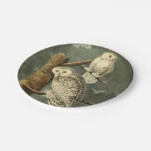 スノーフクロウ・アウドゥボンバードのアートワーク ペーパープレート (アングル)