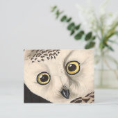 スノーフクロウ – オードボン素晴らしヴィンテージ鳥アメリカ ポストカード (スタンド正面)