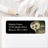 スノーフクロウ – オードボン素晴らしヴィンテージ鳥アメリカ ラベル (インサイチュ)