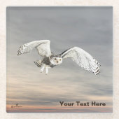 スノーフクロウ ガラスコースター (正面)