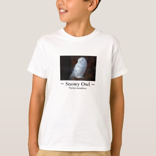 スノーフクロウ – キッズシャツ Tシャツ (正面)