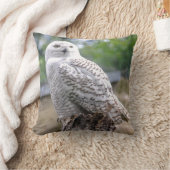スノーフクロウ クッション (ブランケット)