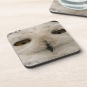 スノーフクロウ コースター (左側)