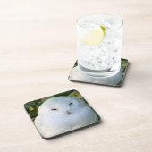 スノーフクロウ コースター (右側)