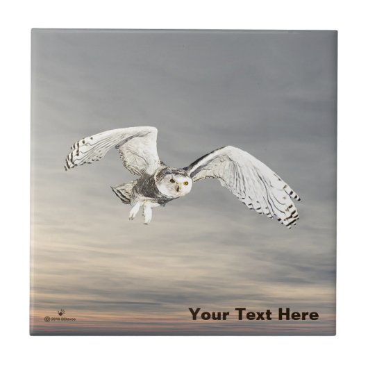 スノーフクロウ タイル (正面)