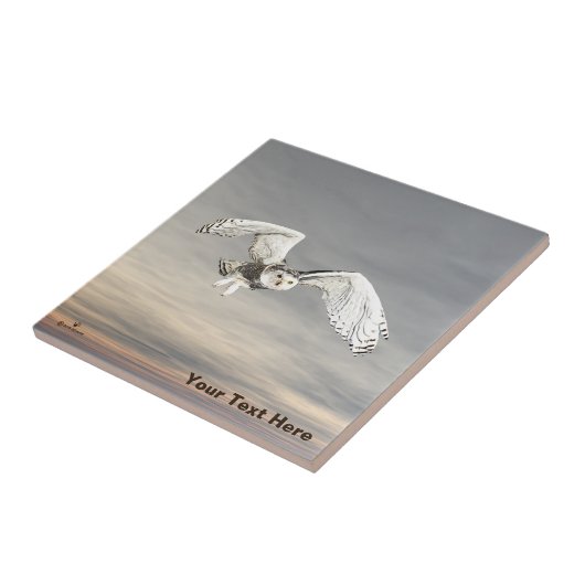 スノーフクロウ タイル (側面)