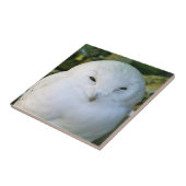 スノーフクロウ タイル (側面)