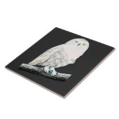 スノーフクロウ タイル (側面)