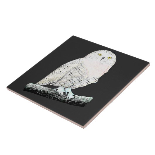 スノーフクロウ タイル (側面)