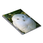 スノーフクロウ ノートブック (右側)