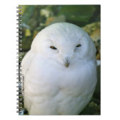 スノーフクロウ ノートブック (正面)
