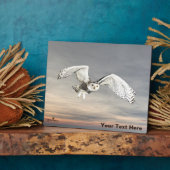 スノーフクロウ フォトプラーク (側面)