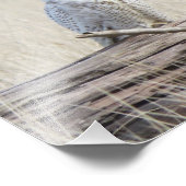 スノーフクロウ フォトプリント            (角)