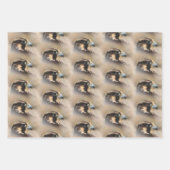 スノーフクロウ/ペレグリン《鳥》ハヤブサ/ゴールデンイーグルス ラッピングペーパーシート (正面2)