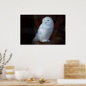スノーフクロウ ポスター (キッチン)