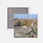 スノーフクロウ マグネット (正面/裏面)