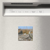 スノーフクロウ マグネット (インサイチュ (食洗機))