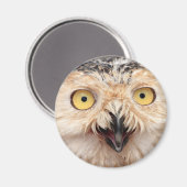 スノーフクロウ マグネット (正面/裏面)